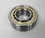 Main Bearing - Outer, SP318