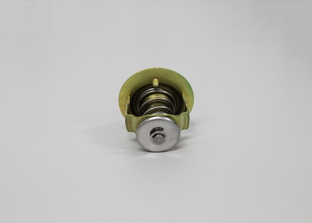 Thermostat, 804D