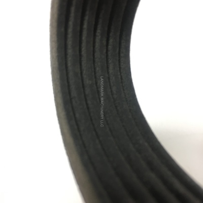 Belt, Serpentine - North American Made