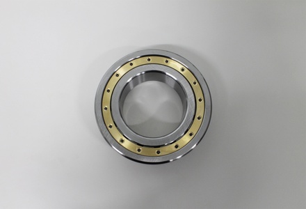 Main Bearing - Inner, SP318