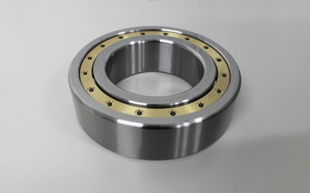 Main Bearing - Inner, SP318