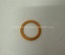 Gasket Plug - Rayco