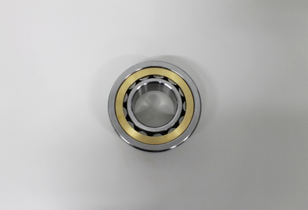 Main Bearing - Outer, SP318